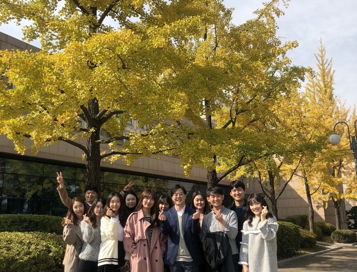 단풍사진